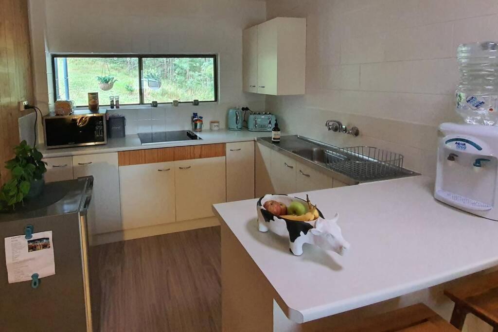 Cabin Country Retreat Paskins Farm Palmwoods Exteriör bild