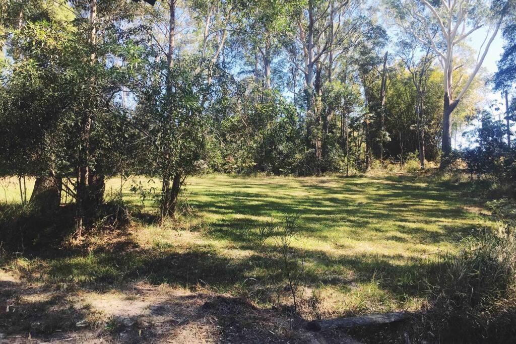 Cabin Country Retreat Paskins Farm Palmwoods Exteriör bild