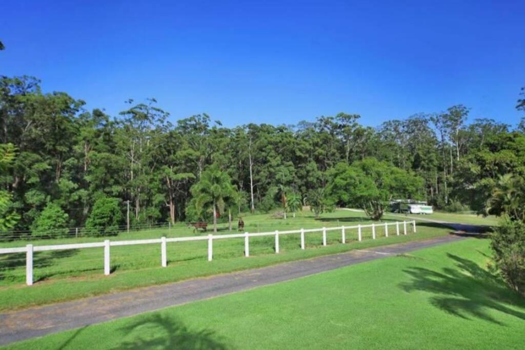 Cabin Country Retreat Paskins Farm Palmwoods Exteriör bild