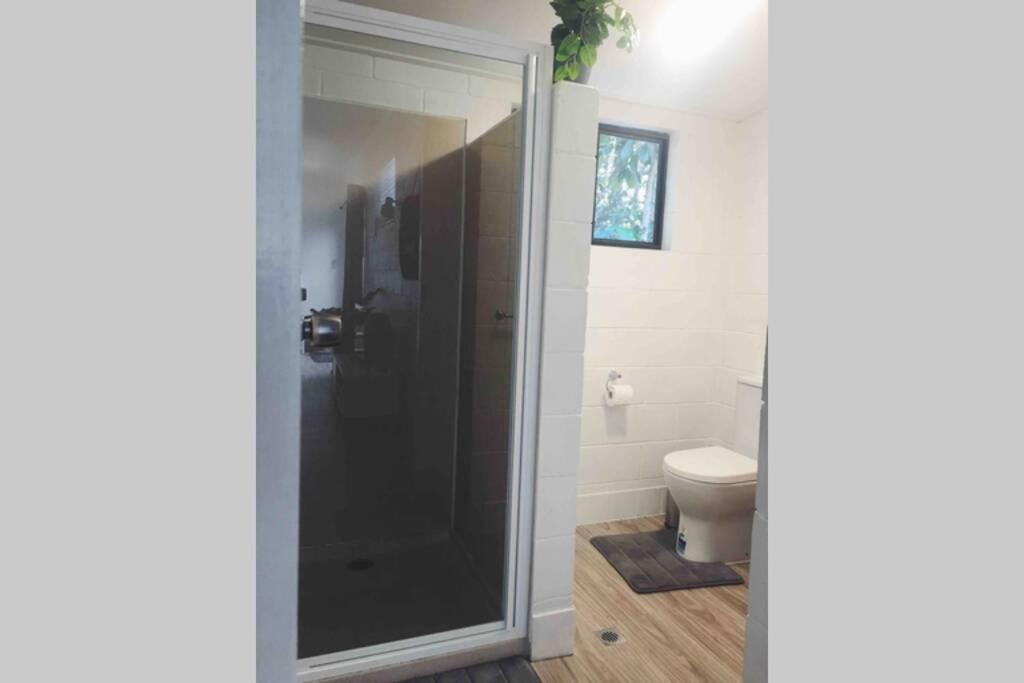 Cabin Country Retreat Paskins Farm Palmwoods Exteriör bild
